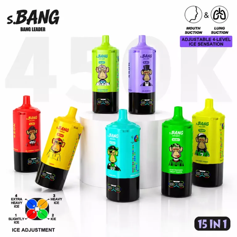 Bang Leader 450000 puffs 15-in-1 Disposable Vape