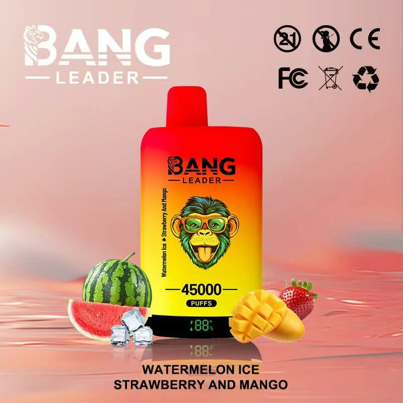 Bang Leader 45000 puffs 2-in-1 Disposable Vape